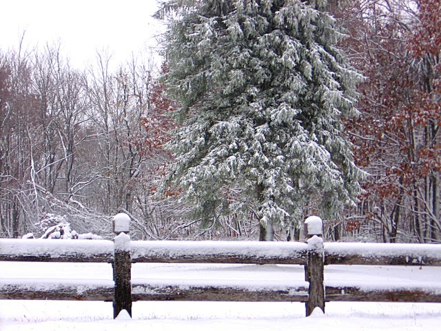 小雪+寒潮，禽畜水產(chǎn)如何應(yīng)對？